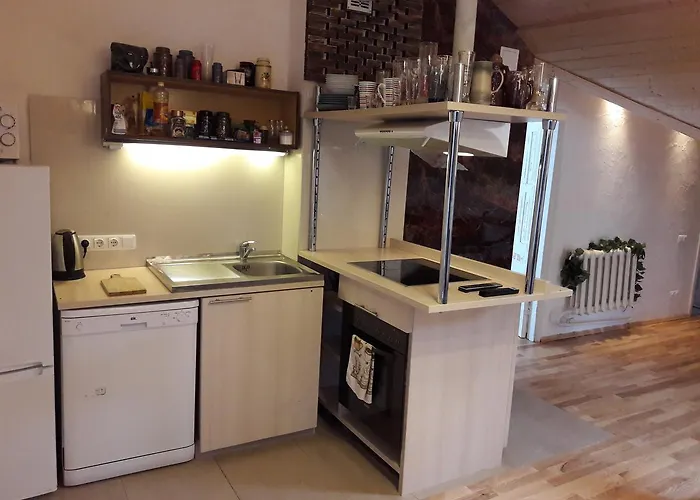 Vilnius Luxury Apartment 2