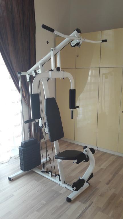 Luxury 2 Apartment Vilnius